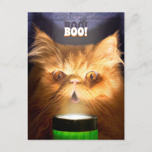 Katt med ficklampa inbjudan vykort
