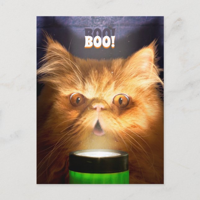 Katt med ficklampa inbjudan vykort (Framsida)