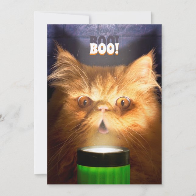 Katt Med Ficklampa Inbjudningar (Framsida)