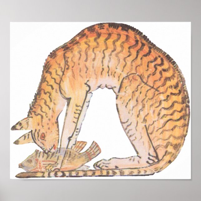 katt med fisk poster (Framsidan)