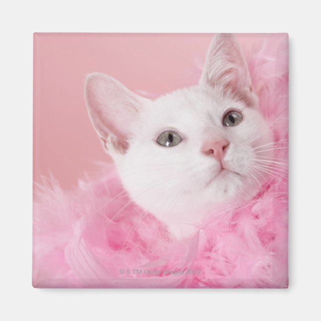 Katt med fjäderbod magnet (Framsidan)
