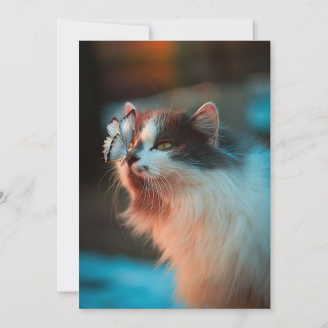 Katt med fjäril på näsan  julkort (Framsida)