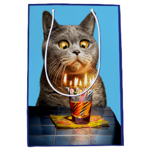 Katt med födelsedag, hett glas
