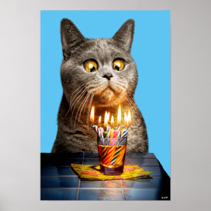 Katt med födelsedag, hett glas poster