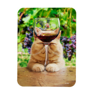 Katt med glas av Vin Magnet