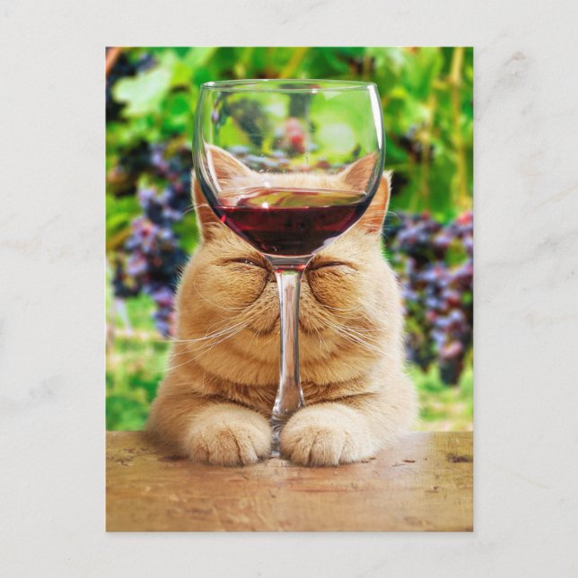 Katt med glas från Vin Inbjudan Vykort (Framsida)
