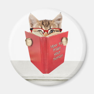 Katt med glasögon och röd Bok Magnet