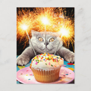 Katt med gnistrare Cupcake Inbjudan Vykort