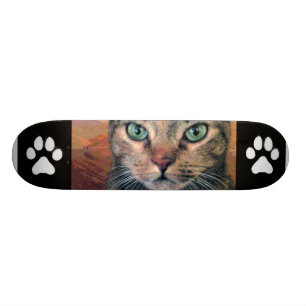 Katt med gröna ögon skateboard bräda 19,5 cm