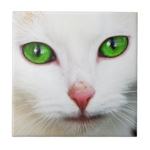 Katt med Grönt Öga Tile Kakelplatta