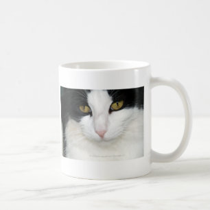 Katt med guld- ögon kaffemugg