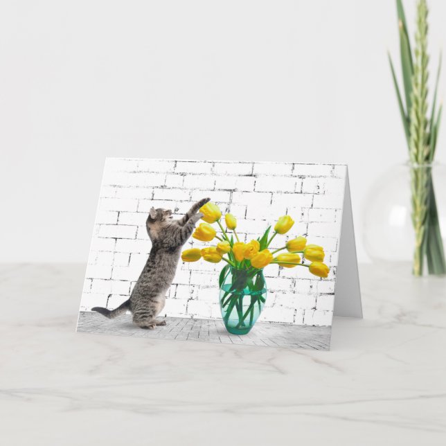 Katt med Gult Tulips födelsedagskort Kort (Framsida)