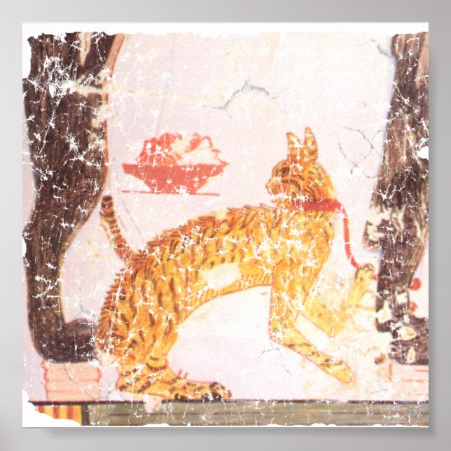 katt med hals poster (Framsidan)