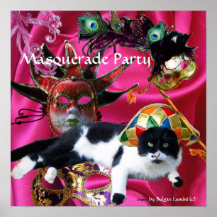 KATT MED HARLEKINHATT OCH MASKERAD FESTMASKER POSTER