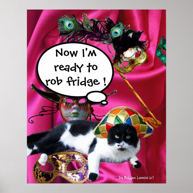 KATT MED HARLEKINHATT OCH MASKERADFESTMASKER POSTER (Framsidan)