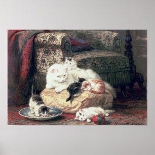 Katt med henne kattungar på en dämpa poster