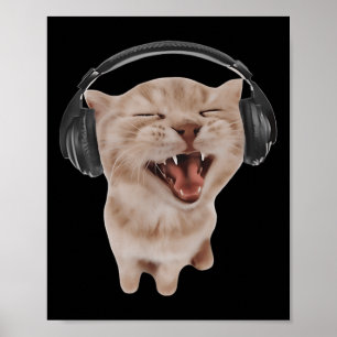 Katt med hörlurar poster