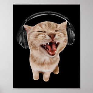 Katt med hörlurar poster