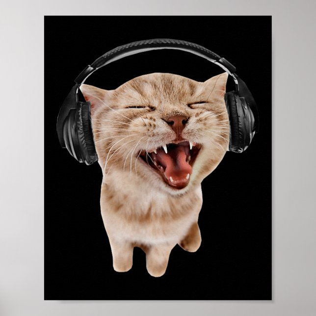 Katt med hörlurar poster (Framsidan)