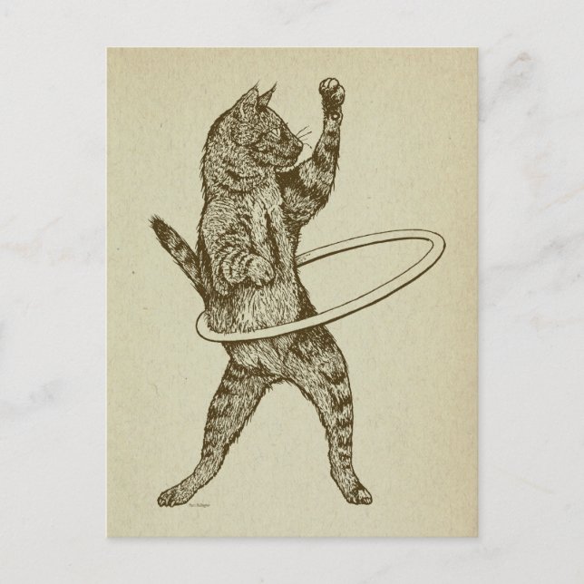 Katt med Hula Ring Vykort (Framsida)