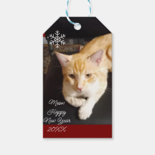 Katt med ingefära Foto Text Anpassa Presentetikett
