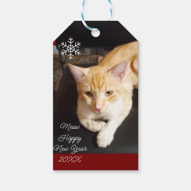 Katt med ingefära Foto Text Anpassa Presentetikett (Framsidan)
