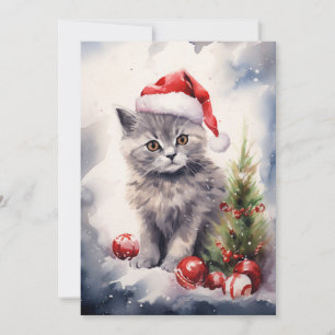 Katt med julkort i jultomten