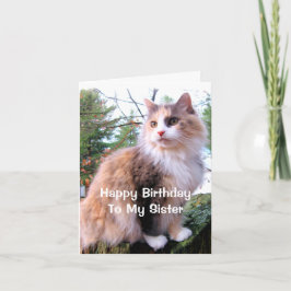 Katt med kalikotäckning Födelsedag Syster Kort