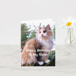 Katt med kalikotäckning Födelsedag Syster Kort