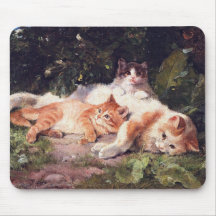 Katt med Kittens Fine Art