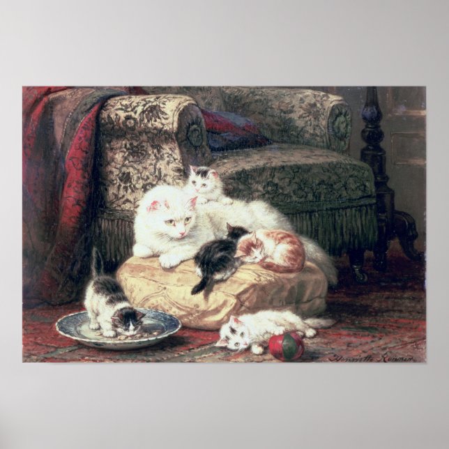 Katt med Kittens på en kushion Poster (Framsidan)