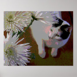 Katt med krysantemum fina konsttryck poster