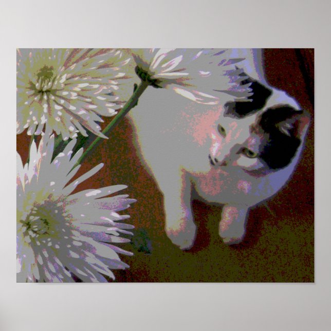 Katt med krysantemum fina konsttryck poster (Framsidan)