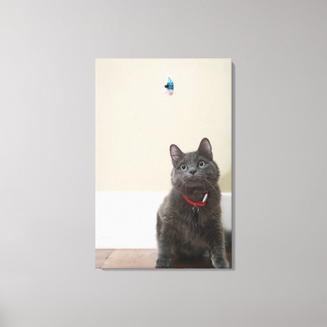 Katt med leksak canvastryck (Framsida)