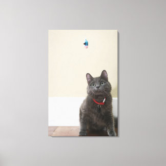 Katt med leksak canvastryck