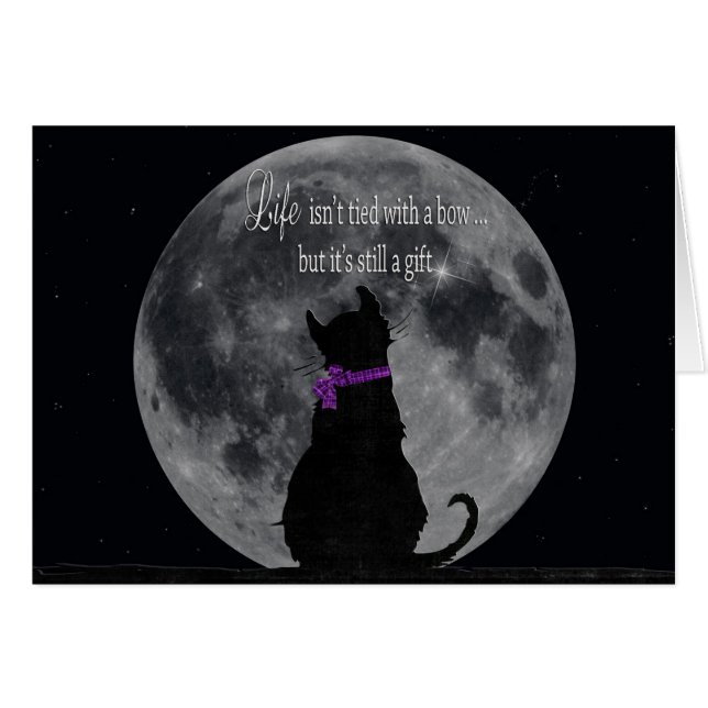 Katt med Måne OBS Kort (Framsidan Horizontal)