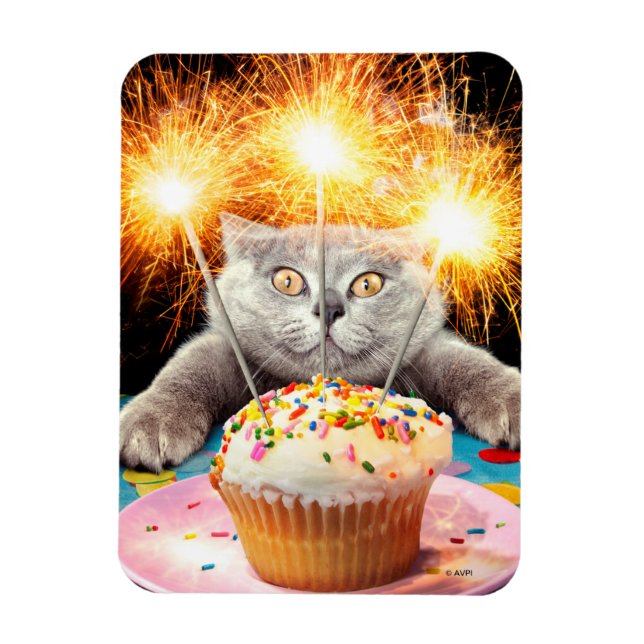Katt med miniatyrskiva magnet (Vertikal)