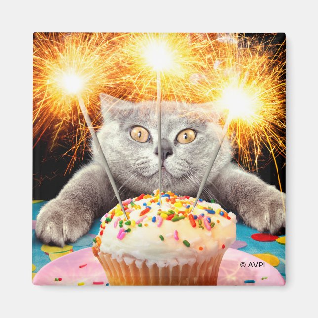 Katt med miniatyrskiva magnet (Framsidan)
