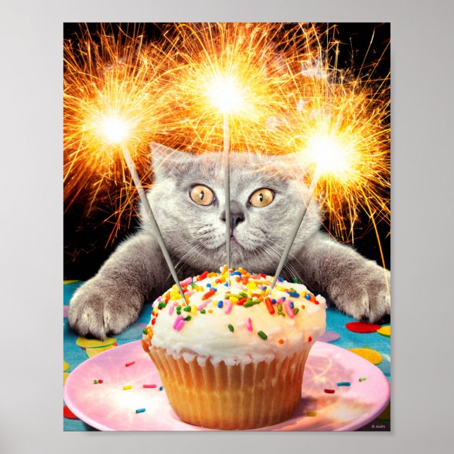 Katt med miniatyrskiva poster (Framsidan)