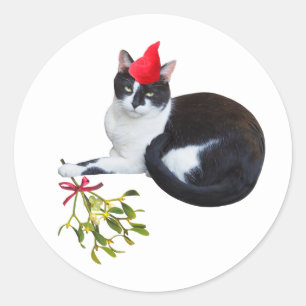 Katt med Mistletoe Stickers Runt Klistermärke