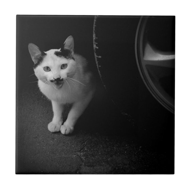 Katt med mustache kakelplatta (Framsidan)