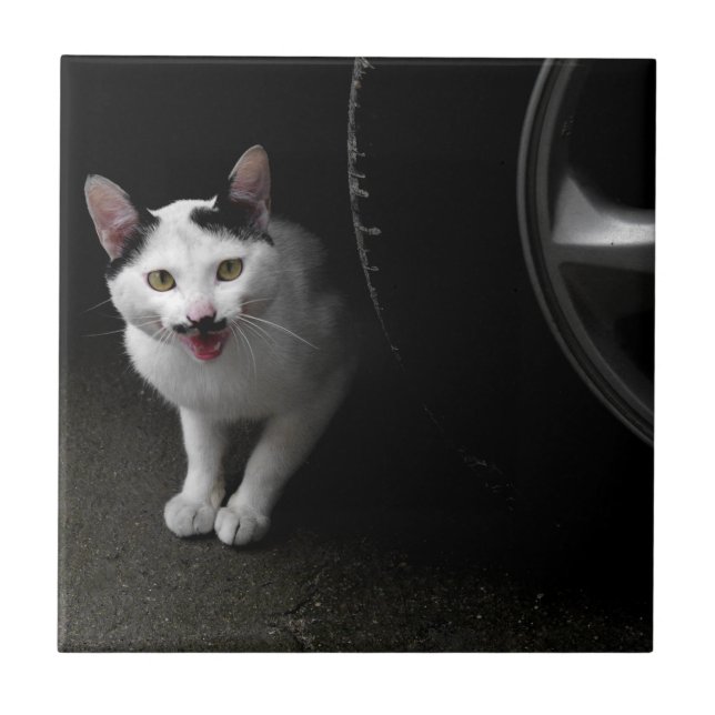 Katt med mustache kakelplatta (Framsidan)