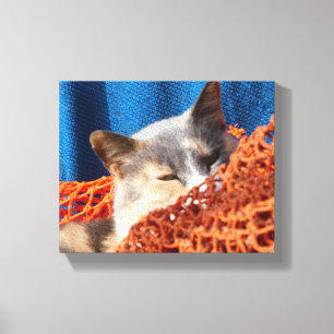Katt med Orange Nautical Net Canvastryck
