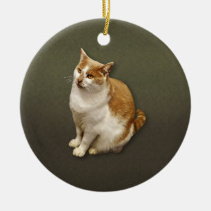 Katt med Orange och vit Kort Julgransprydnad Keramik