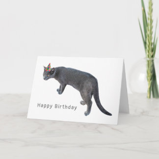 Katt med Party födelsekort Helgkort