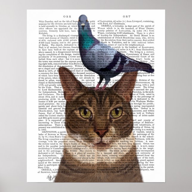 Katt med Pigeon på huvudet Poster (Framsidan)