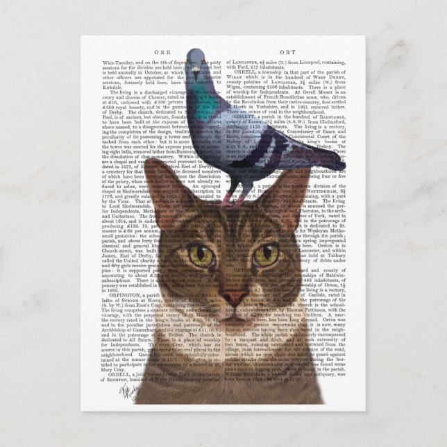 Katt med Pigeon på huvudet Vykort (Framsida)