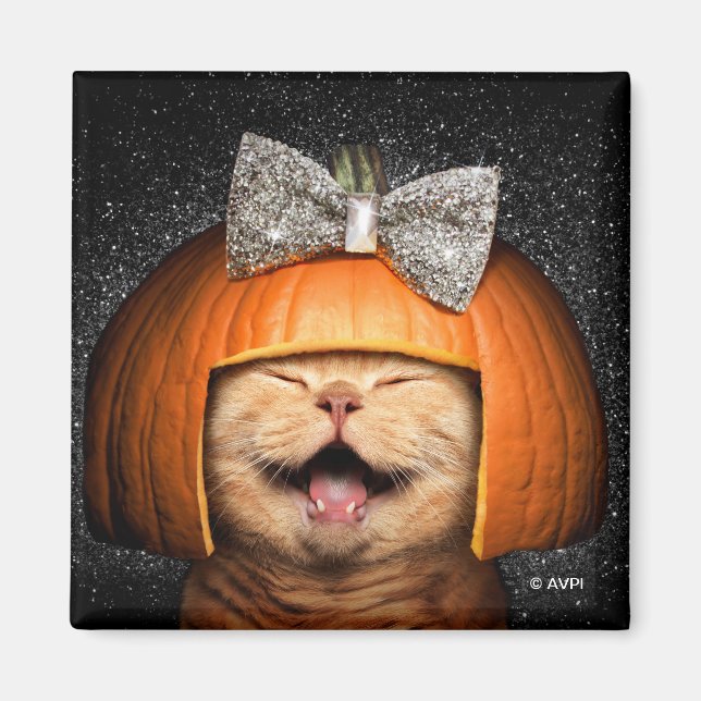 Katt med pumphus magnet (Framsidan)
