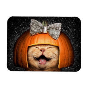 Katt med pumphus magnet