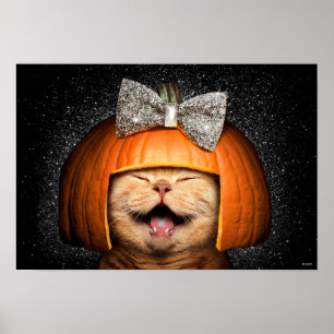 Katt med pumphus poster